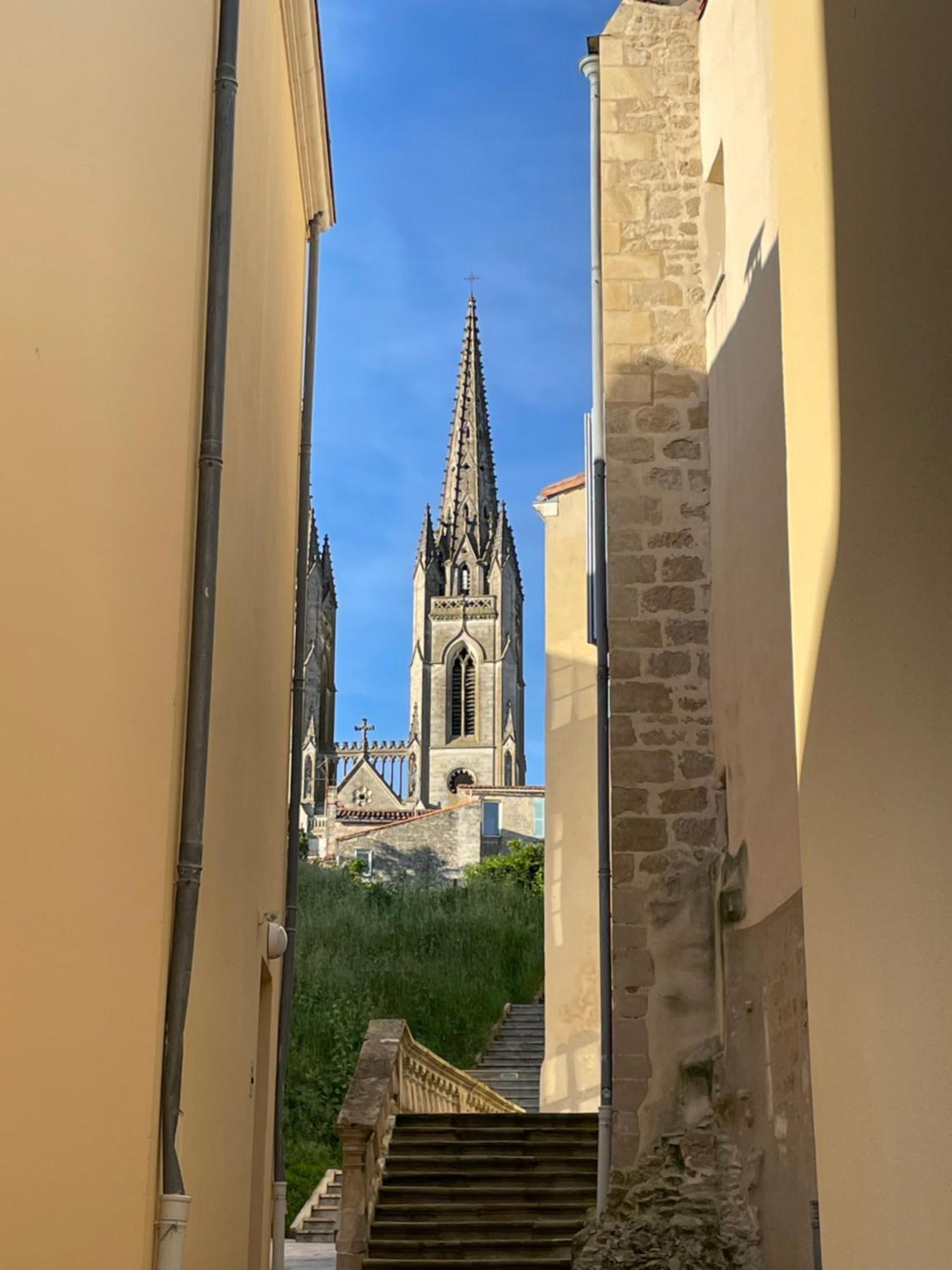 Chez Jean-Yves Et Zoe - La Boheme - Au Calme, Tres Propre, Proche Parkings Lejlighed Niort Eksteriør billede
